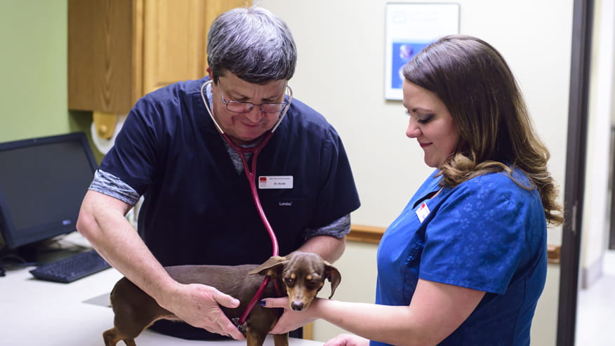 876x493 bent tree PrimaryCare