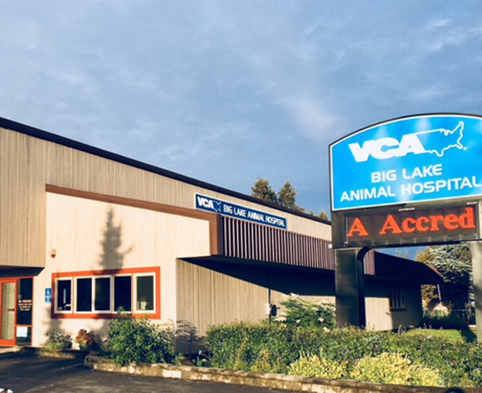 Hospital Picture of VCA Big Lake Animal Hospital