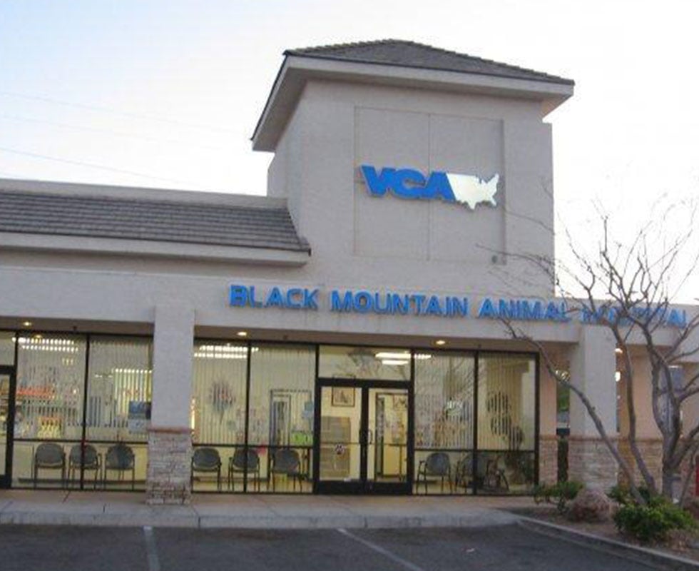 Hospital Picture of VCA Black Mountain Animal Hospital