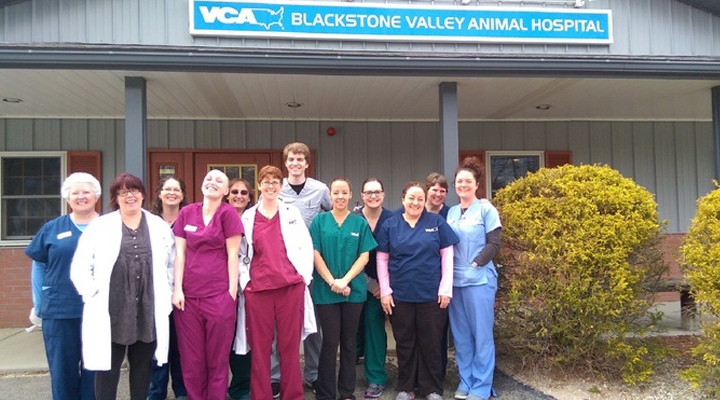 VCA Blackstone Valley Animal Hospital