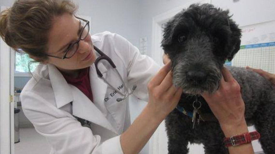 876x493 blairstown Services PrimaryCare