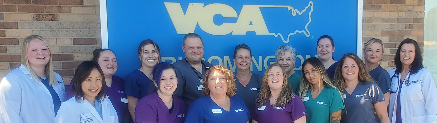 Team Photo of VCA Bloomington Animal Hospital