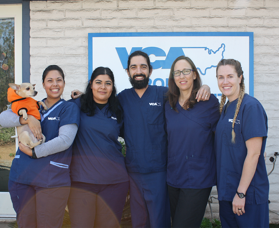 Our Vet Support
