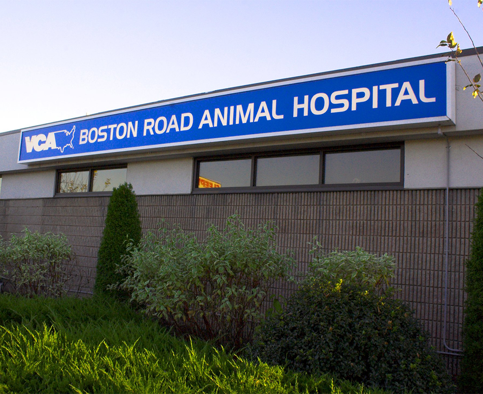 VCA Boston Road Animal Hospital 