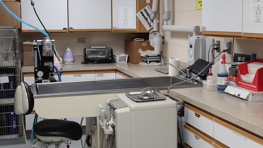 Dentistry