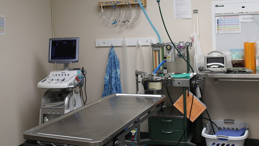 Surgery Suite