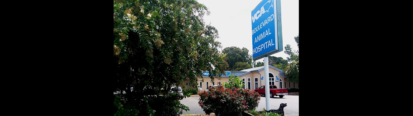 VCA Boulevard Animal Hospital