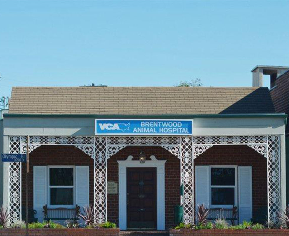 Hospital Picture of VCA Brentwood Animal Hospital
