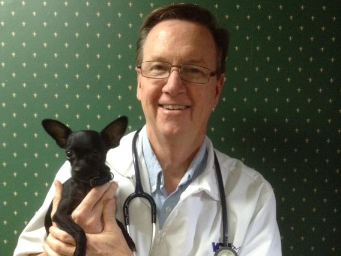 Richard Martin Vca Brentwood Animal Hospital
