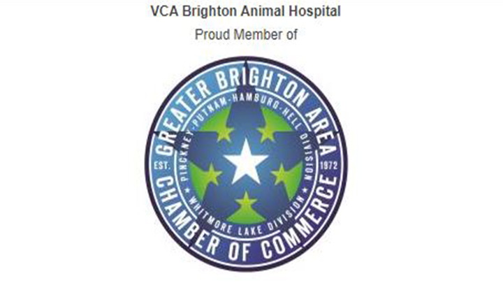 Greater Brighton Area Chamber of Commerce