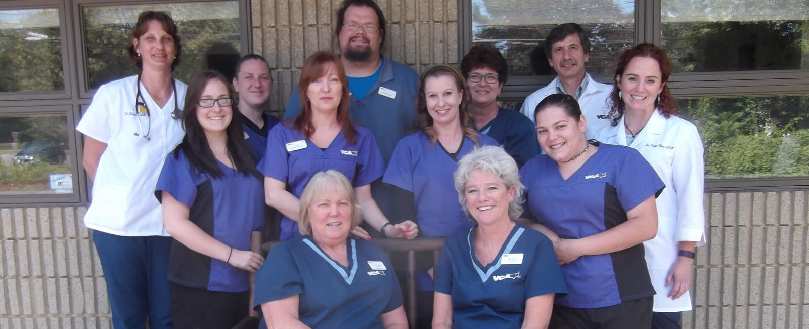 plastic for dog cage