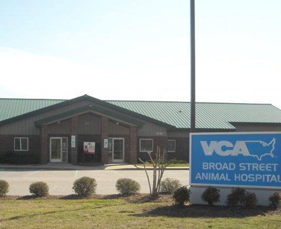 Our Hospital VCA Broad Street Animal Hospital