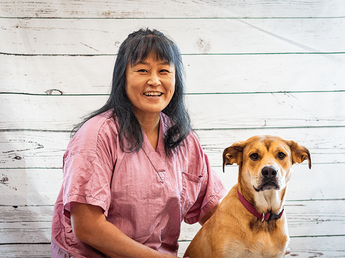 Vca Broadway Animal Hospital And Pet Center Staff Page