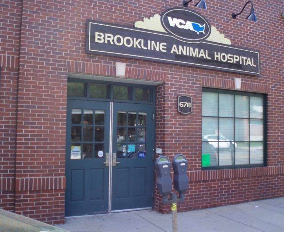 Hospital Picture of VCA Brookline Animal Hospital