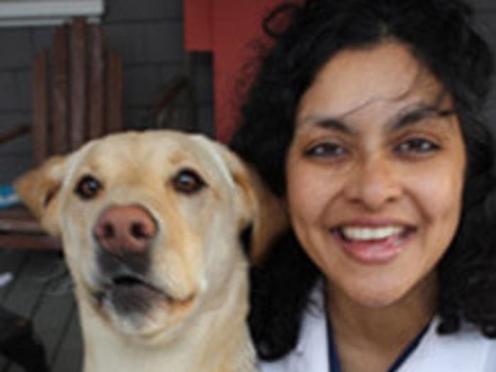 Natasha Nanda Vca Brookline Animal Hospital Natasha n.'nın bütün fotoğraflarını, tavsiyelerini, listelerini ve arkadaşlarını gör. natasha nanda vca brookline animal