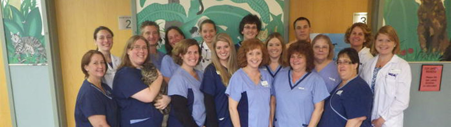 Team Picture of VCA Brown Animal Hospital