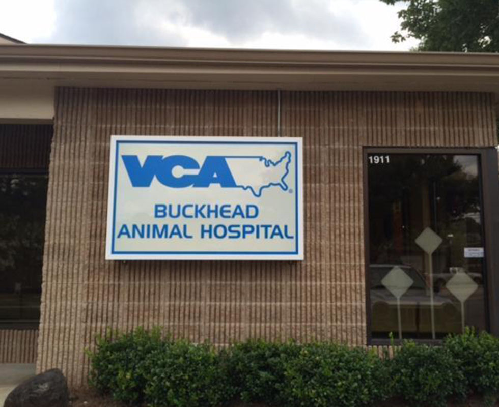 Our Hospital | VCA Buckhead Animal Hospital