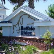 vca buffalo ridge animal hospital