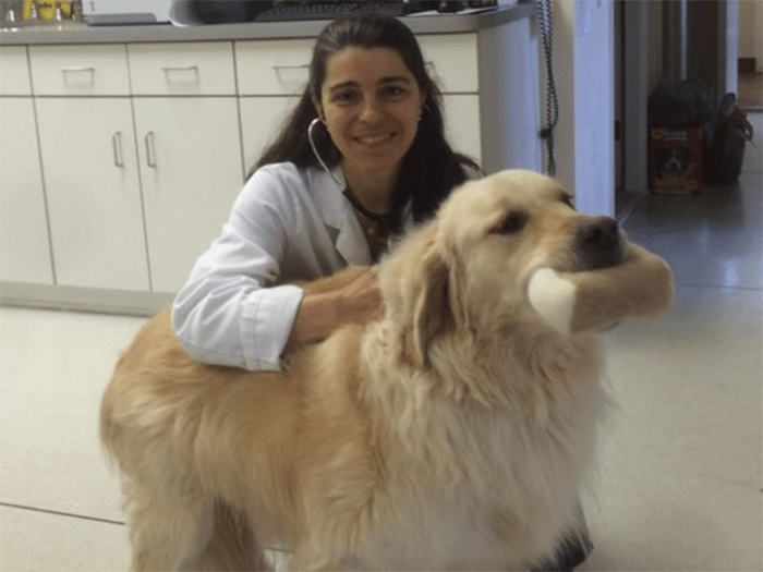 burton veterinary services