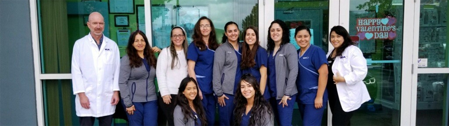 Team Picture of VCA Cabrera Animal Hospital
