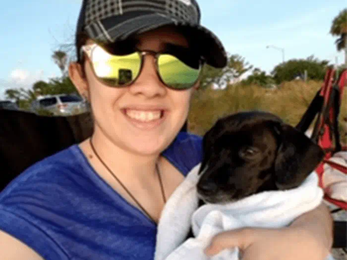 vca cabrera animal hospital