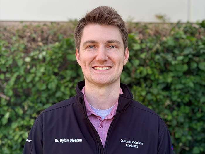 Staff Image