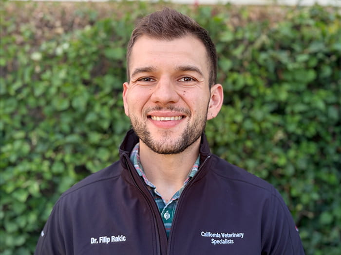 Staff Image