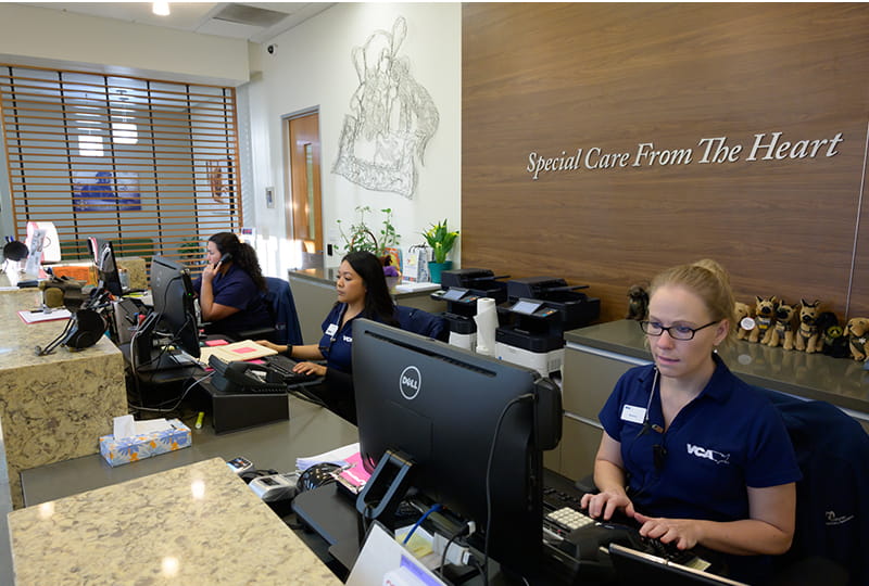 Our Hospital VCA California Veterinary Specialists Murrieta