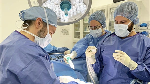 Veterinary surgeons and assistants performing a procedure