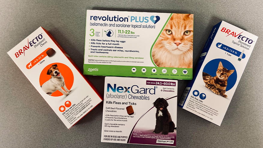 flea and tick medications
