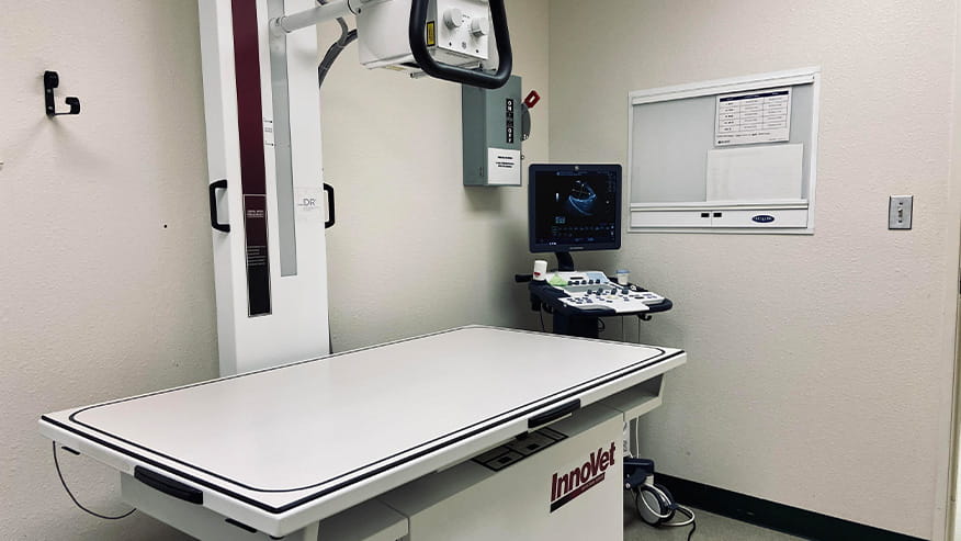 Veterinary x-ray machine