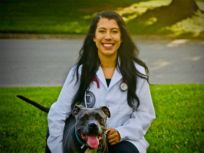 Pasadena Vets At Vca Calvert Veterinary Center