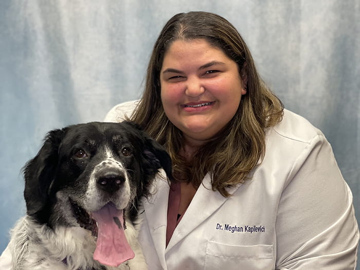 well pet clinic calvert