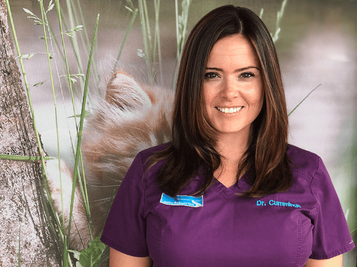 Chelsea Cummings Vca Camino Animal Hospital