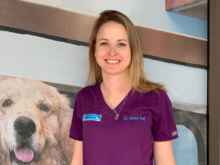Stacy Hall | VCA Camino Animal Hospital