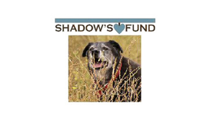 Shadow's Fund
