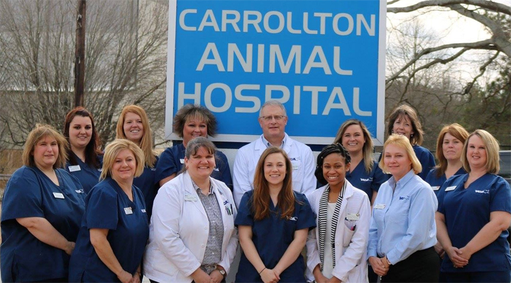 Veterinarians in Carrollton, GA | VCA Carrollton Animal Hospital