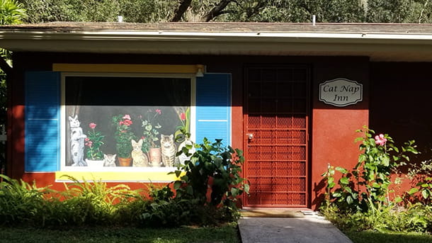 Cat Nap Inn Boarding at VCA Carrollwood Cat Hospital