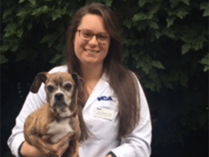 vca cascade animal medical center