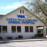 castle hills companion animal hospital