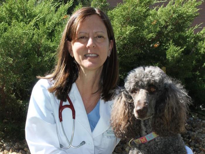 Lisa Barlow | VCA Centennial Valley Animal Hospital