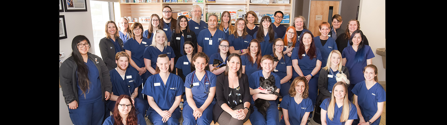 Team Picture of  VCA Central Kitsap Animal Hospital