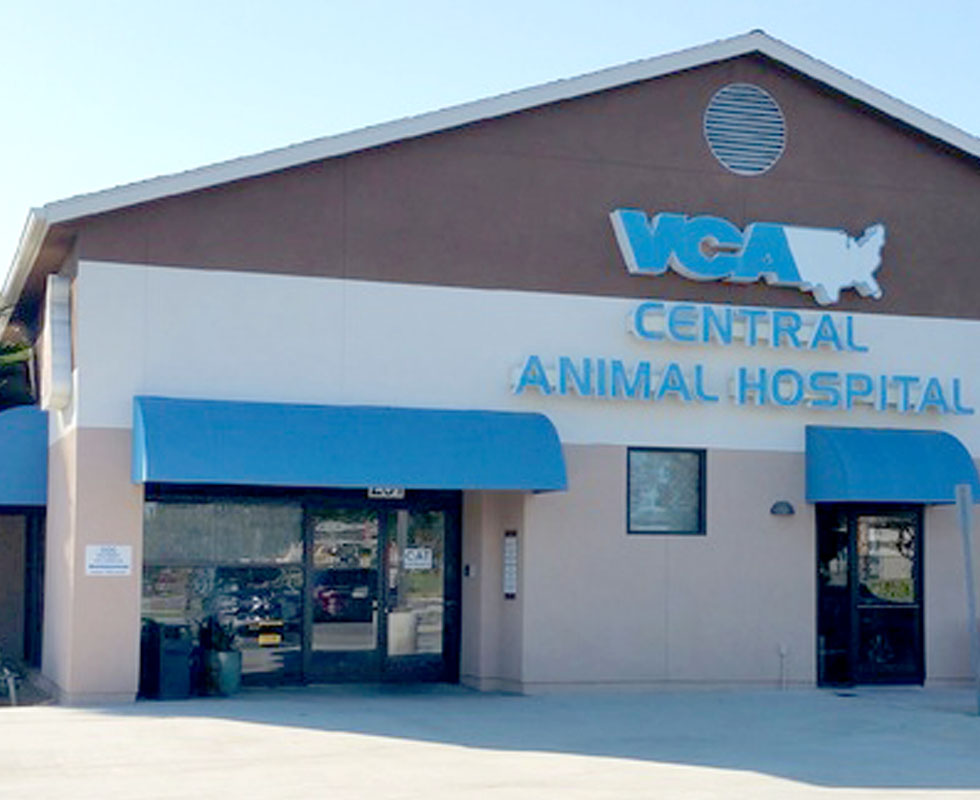 Hospital Picture of  VCA Central Animal Hospital