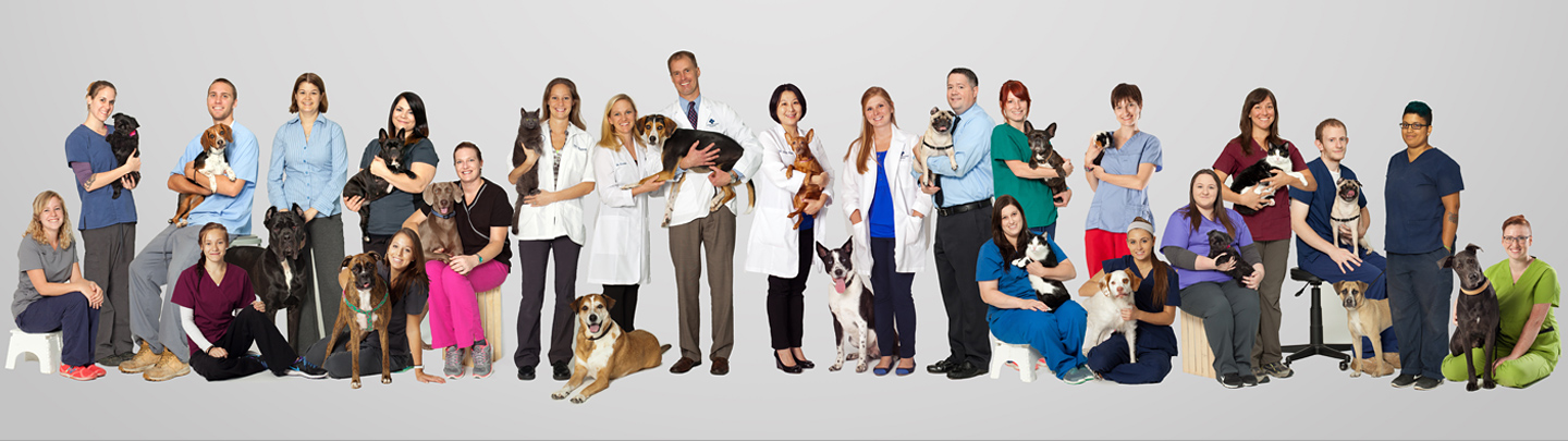 Team Picture of VCA Centreville Animal Hospital