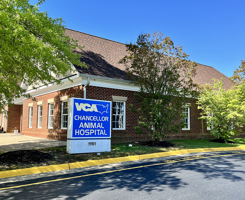Exterior Photo of VCA Chancellor Animal Hospital