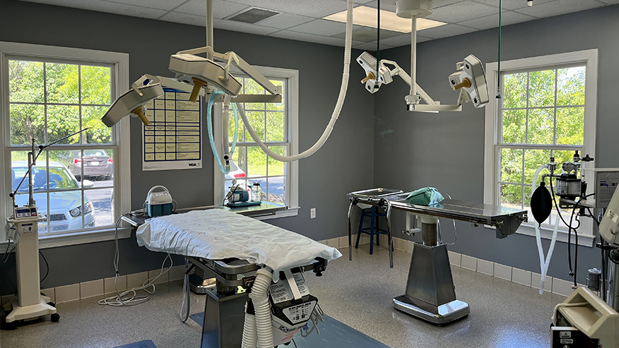 Surgery suite at VCA Chancellor Animal Hospital