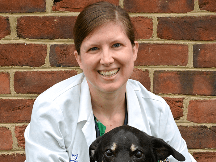 charles e london animal hospital