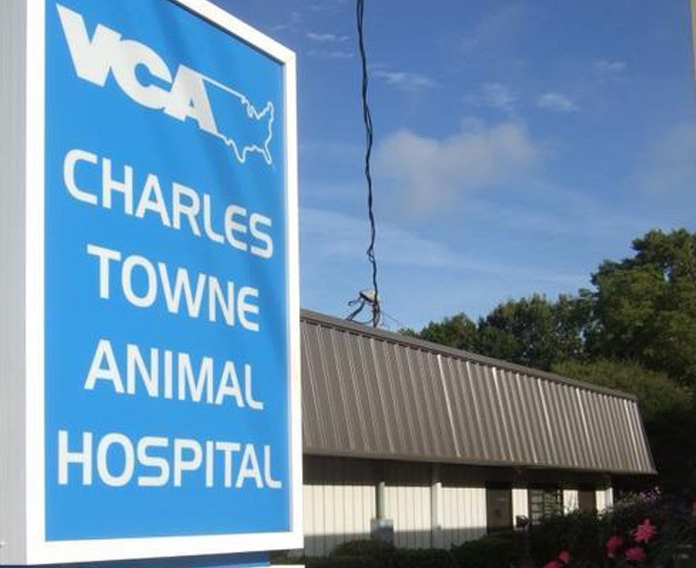 Hospital Picture of  VCA Charles Towne Animal Hospital