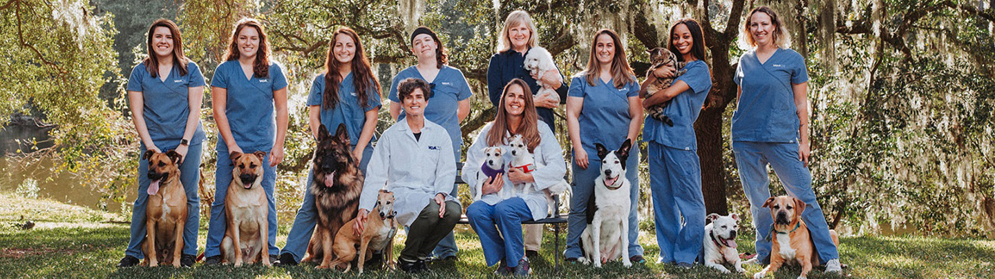 Team Picture of VCA Charles Towne Animal Hospital