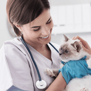 chatoak pet clinic